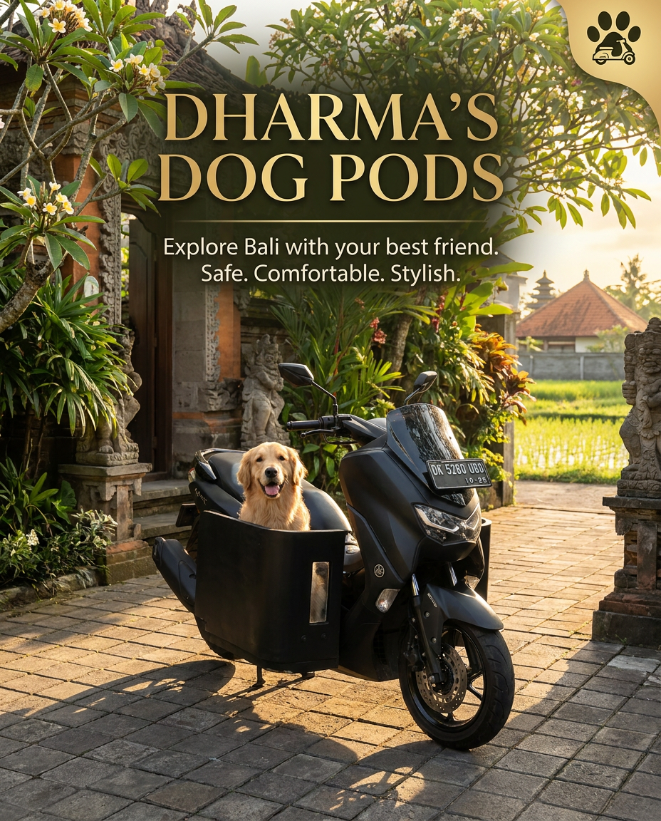 Golden retriever in a black Dharma's Dog Pod fitted to a Yamaha NMAX outside a Balinese temple